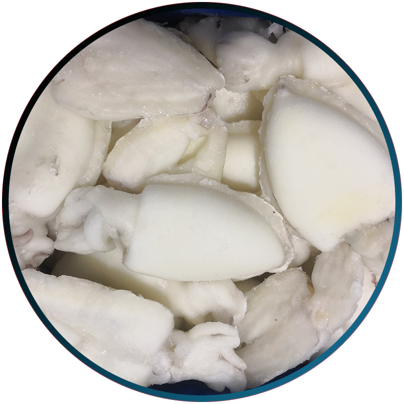 Foto Sepia Limpia IQF